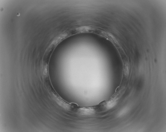 X0000078840477200611201318