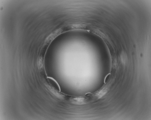 X0000078840478200611201318