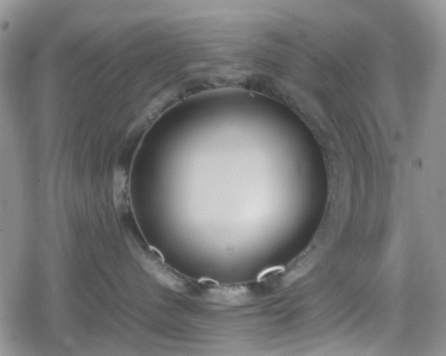 X0000078840480200611201318