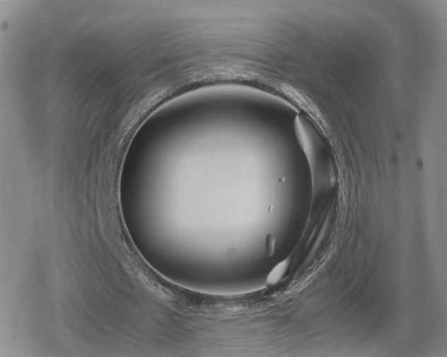 X0000078840481200611201317