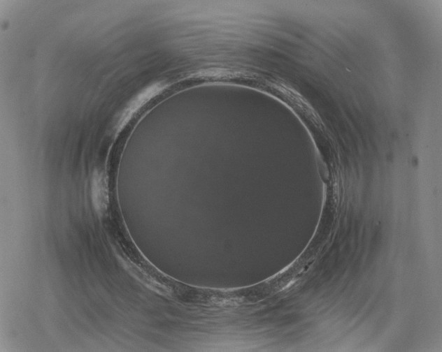 X0000078840484200611201317