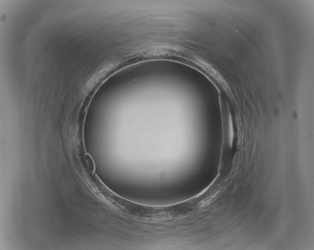 X0000078840485200611201317