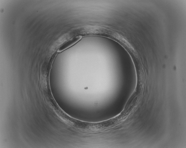 X0000078840489200611201317