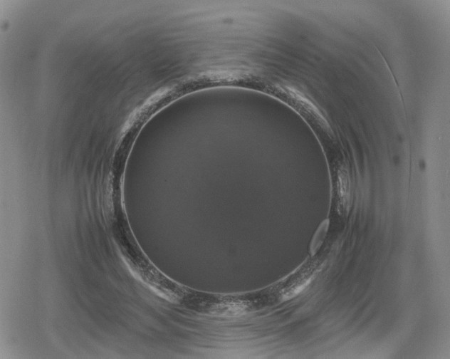 X0000078840492200611201317