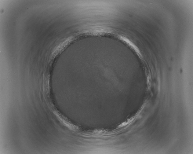 X0000078840493200611201317