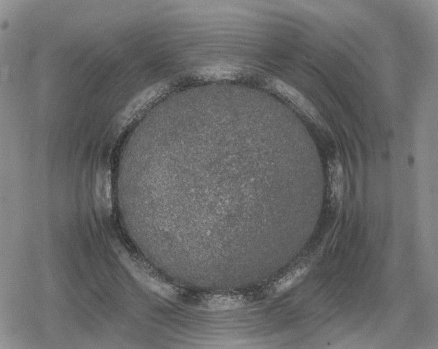 X0000078840494200611201317