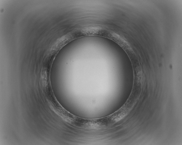 X0000078840498200611201317