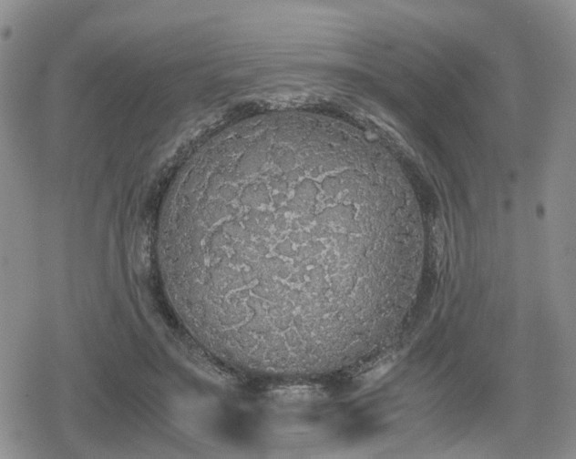 X0000078840499200611201317