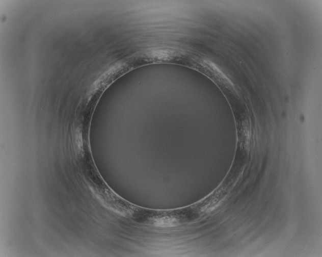 X0000078840500200611201317