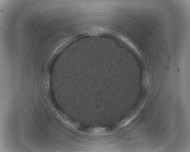 X0000078840501200611201317