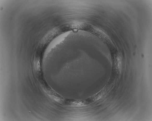 X0000078840502200611201317