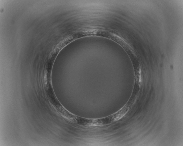 X0000078840504200611201317