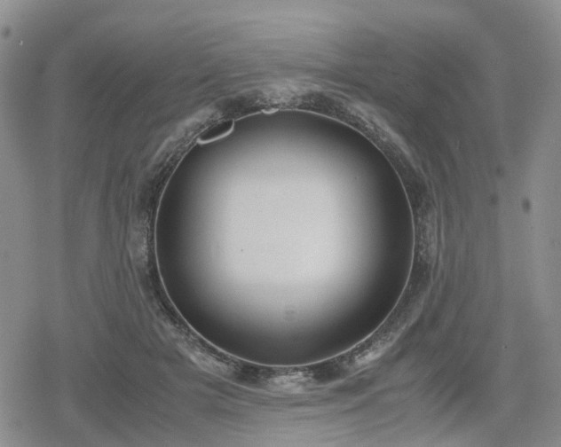 X0000078840505200611201317