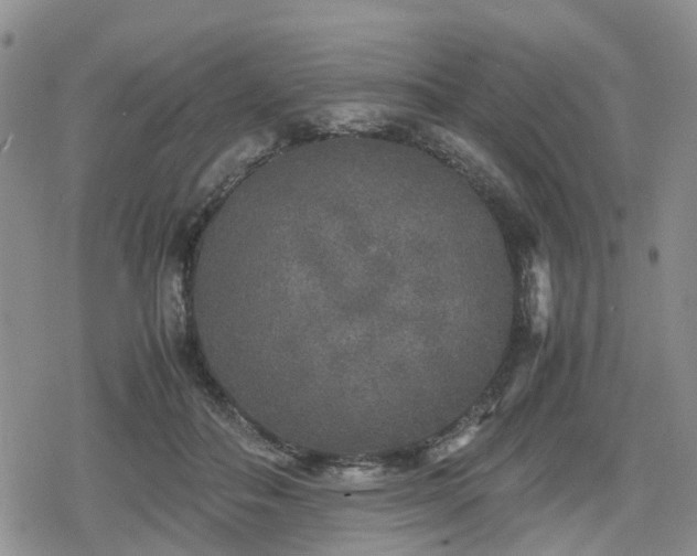 X0000078840506200611201317