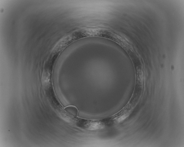 X0000078840507200611201317