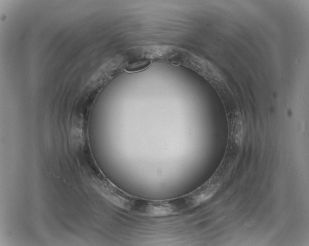 X0000078840510200611201317