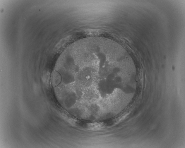 X0000078840511200611201317