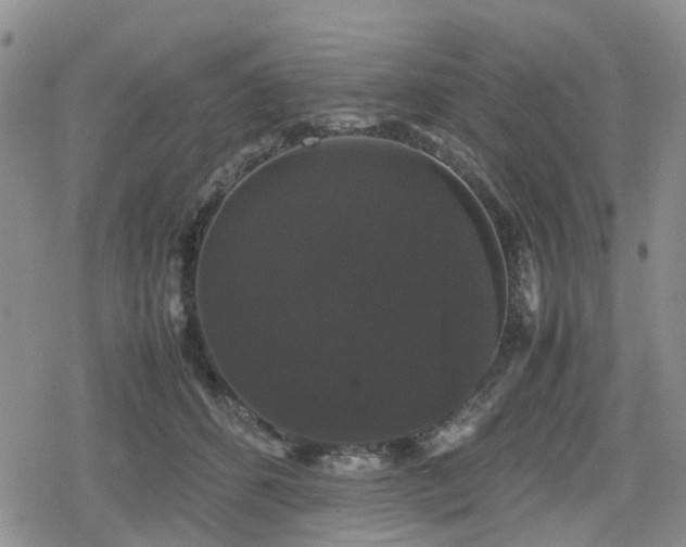 X0000078840512200611201317