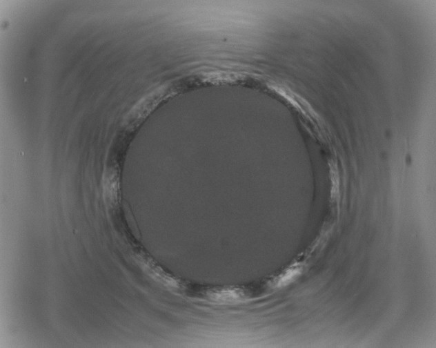 X0000078840513200611201316