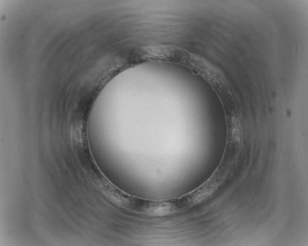 X0000078840514200611201316