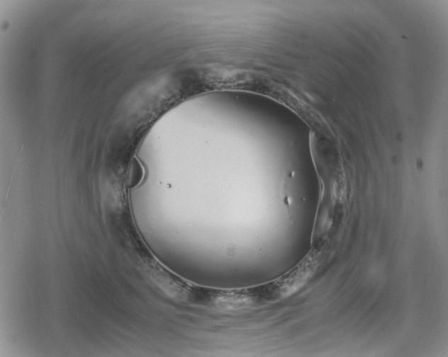 X0000078840515200611201316