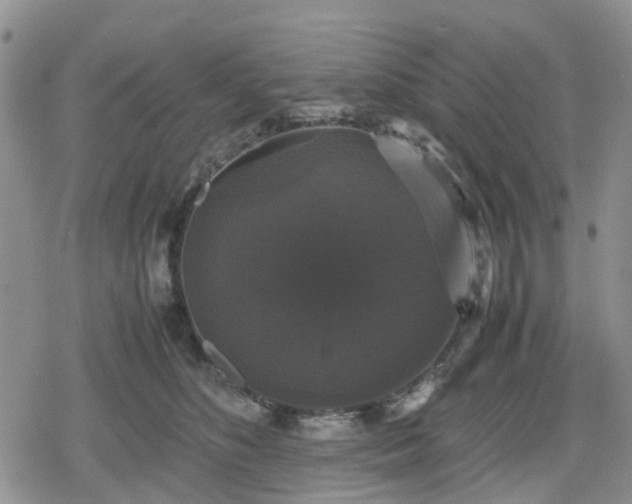 X0000078840516200611201316