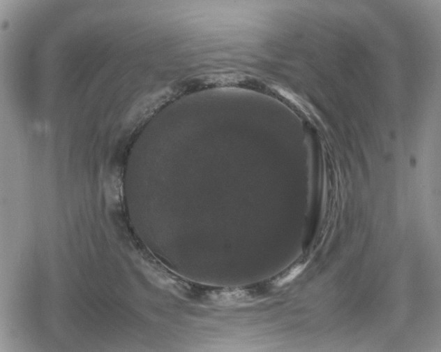 X0000078840517200611201316