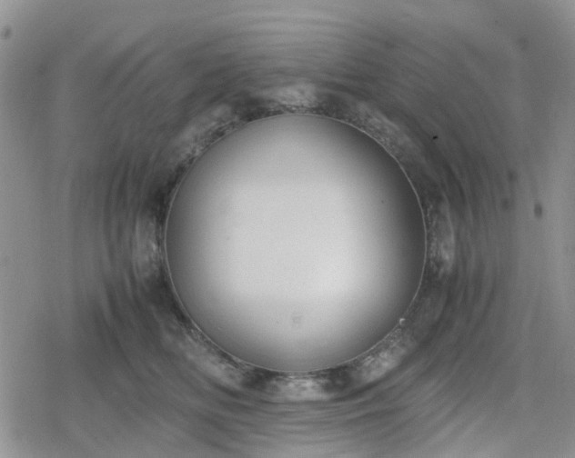 X0000078840518200611201316