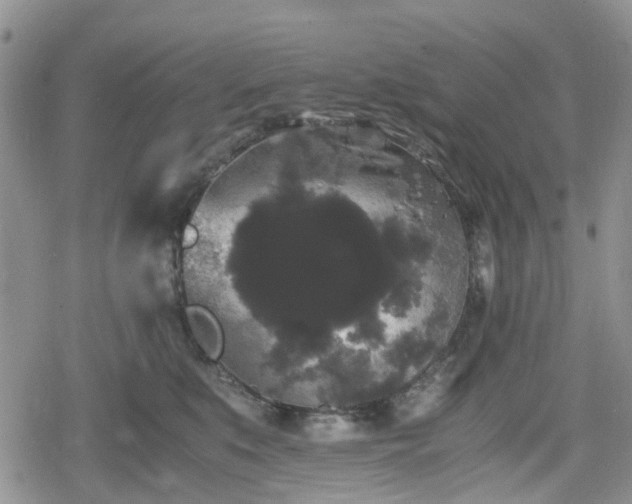 X0000078840519200611201316