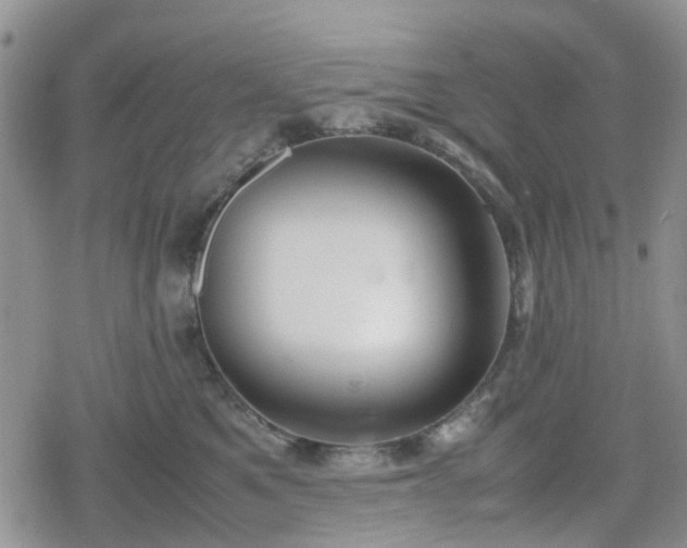 X0000078840521200611201316