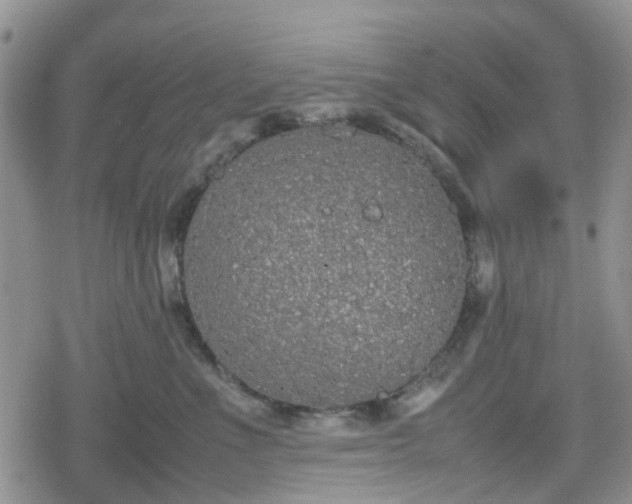 X0000078840523200611201316