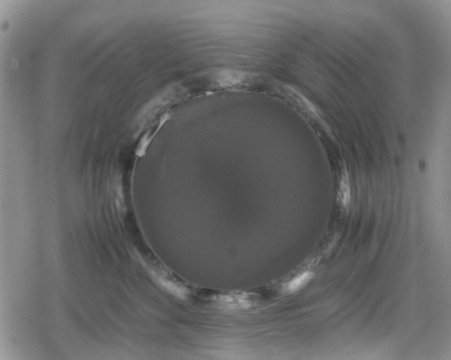 X0000078840524200611201316