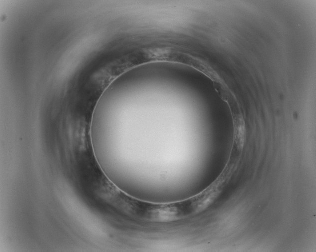 X0000078840525200611201316