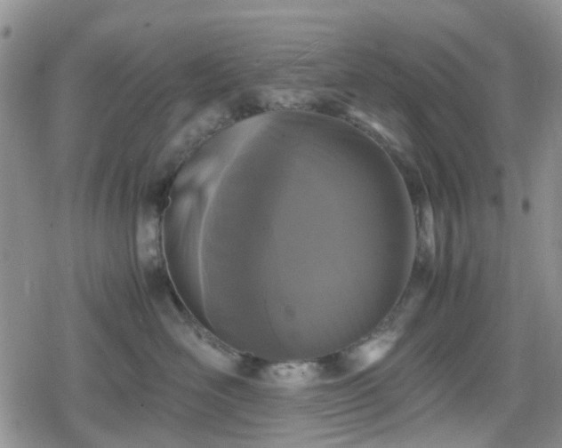 X0000078840526200611201316