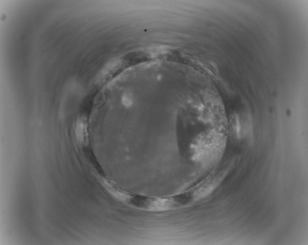 X0000078840527200611201316