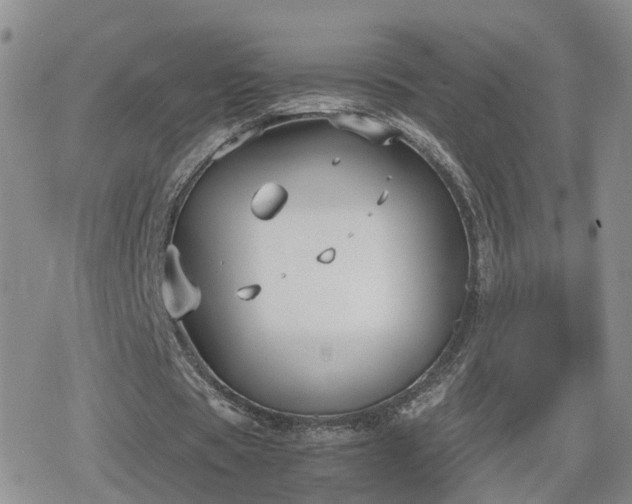 X0000078840529200611201315