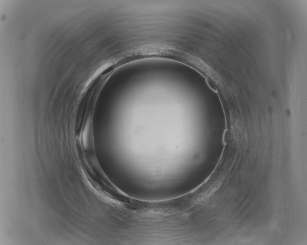 X0000078840530200611201315