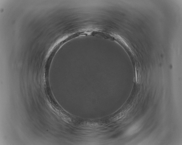 X0000078840531200611201315