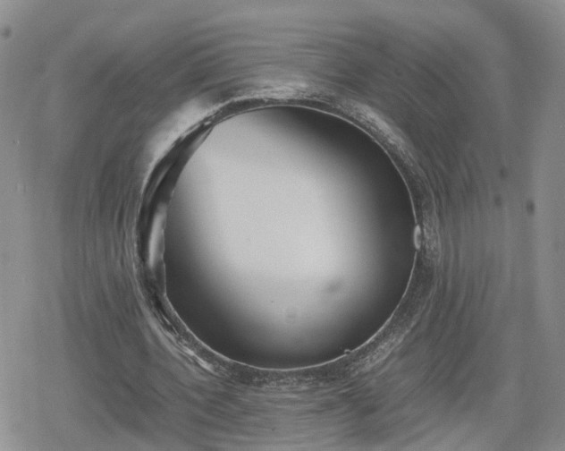 X0000078840532200611201315