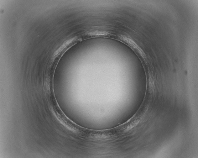 X0000078840533200611201316