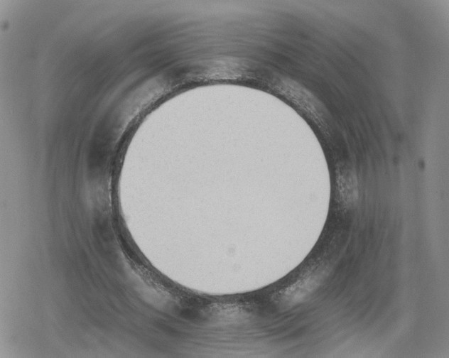 X0000078840534200611201316