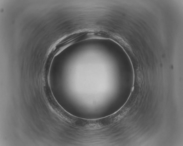 X0000078840536200611201316