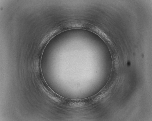 X0000078840537200611201316