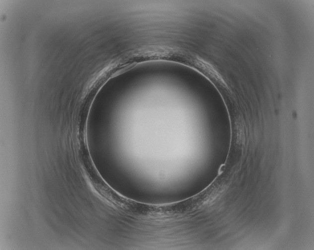 X0000078840538200611201316