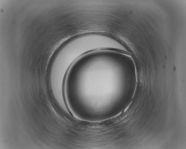 X0000078840540200611201316