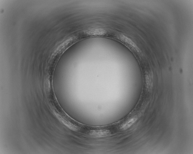 X0000078840541200611201316