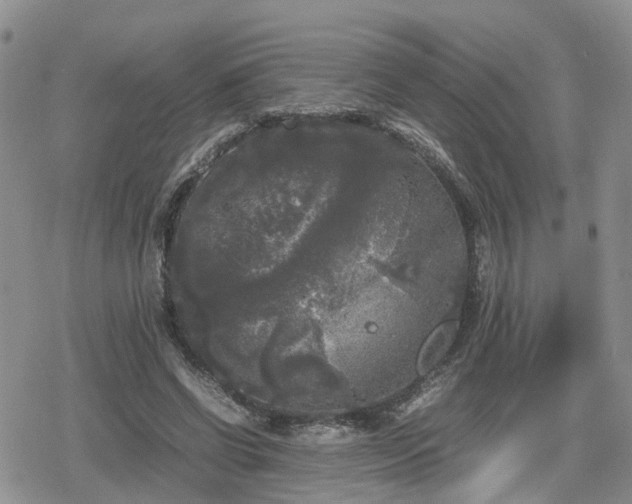 X0000078840542200611201316