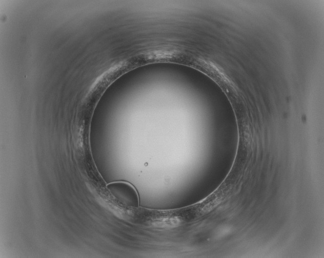 X0000078840543200611201316