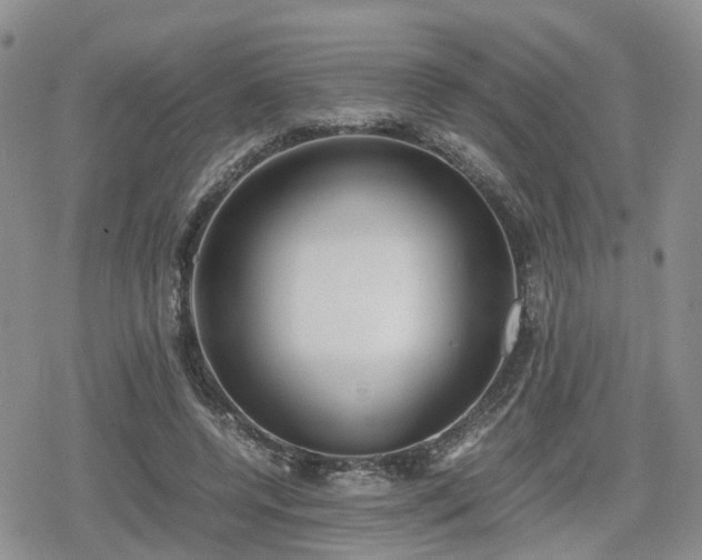 X0000078840544200611201316