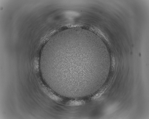 X0000078840545200611201316